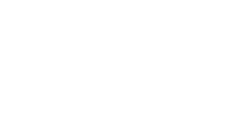 Agentic Tiger